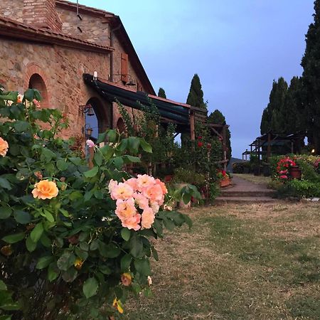 Agriturismo Le Vignacce Villa Santa Luce Exteriör bild
