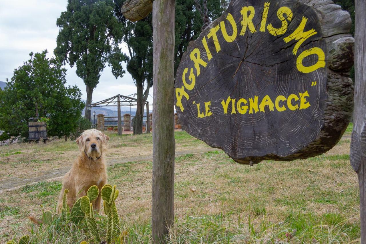Agriturismo Le Vignacce Villa Santa Luce Exteriör bild